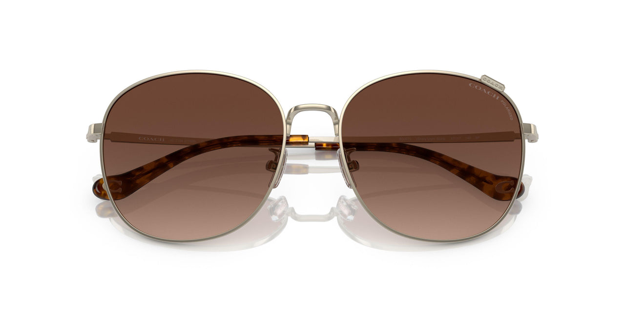 9005T5 - Gold - Brown Gradient Polar