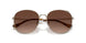 9005T5 - Gold - Brown Gradient Polar