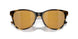 201205 - Tortoise - Gold Mirror