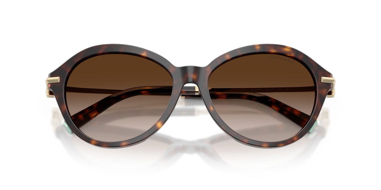 80153B - Tortoise - Brown Gradient