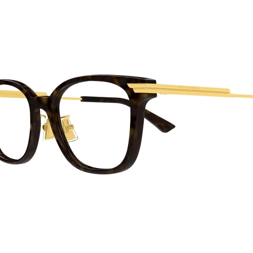 002 - Havana/Gold - Transparent
