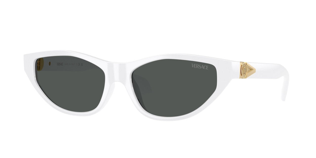 Versace 4491U Sunglasses