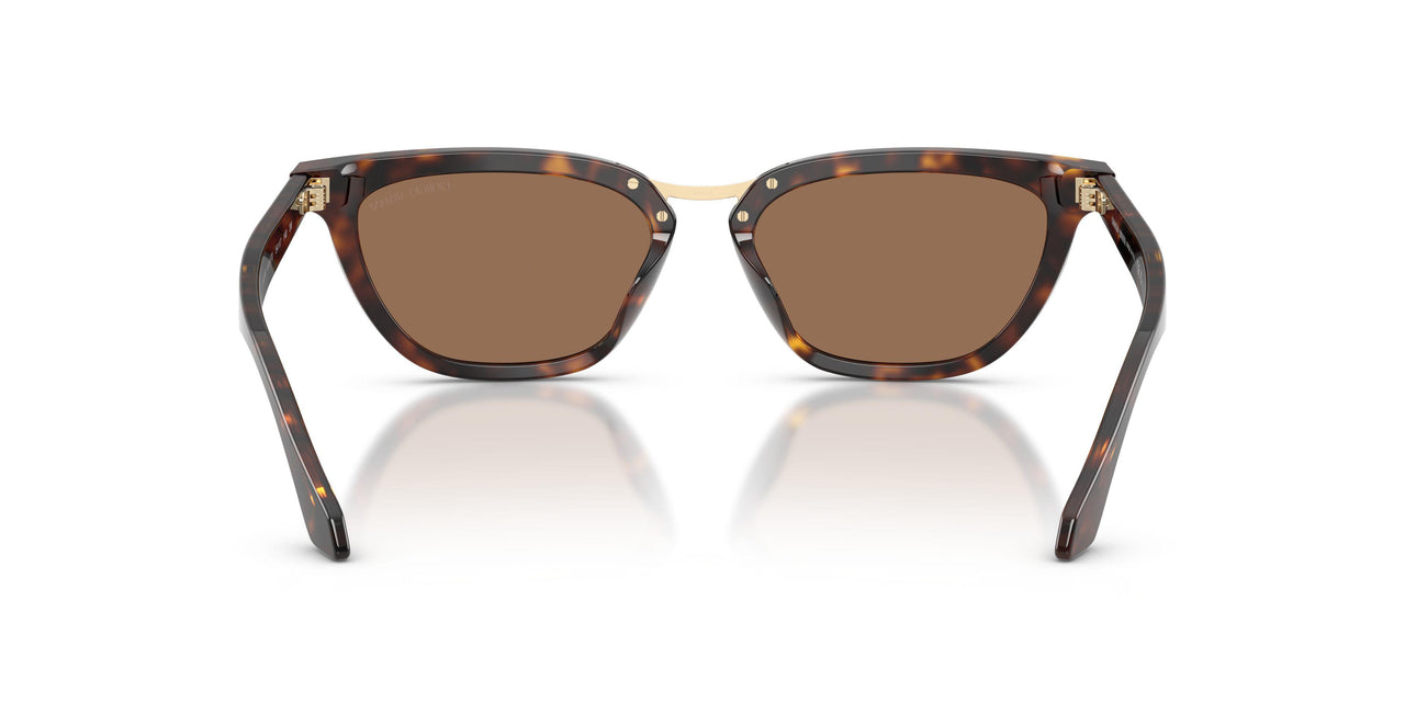 612473 - Tortoise - Dark Brown