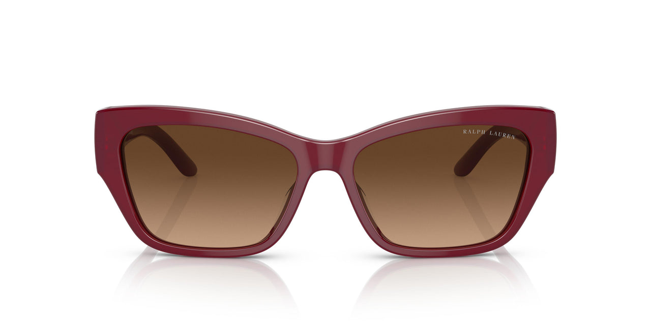 591274 - Bordeaux - Brown Gradient