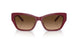 591274 - Bordeaux - Brown Gradient