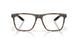802603 - Tortoise