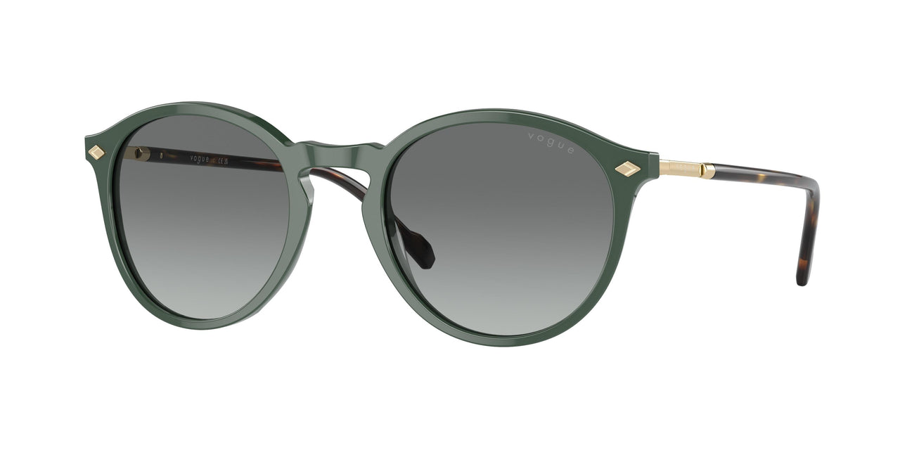 Vogue Eyewear 5432S Sunglasses