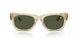 146031 - Beige - Green