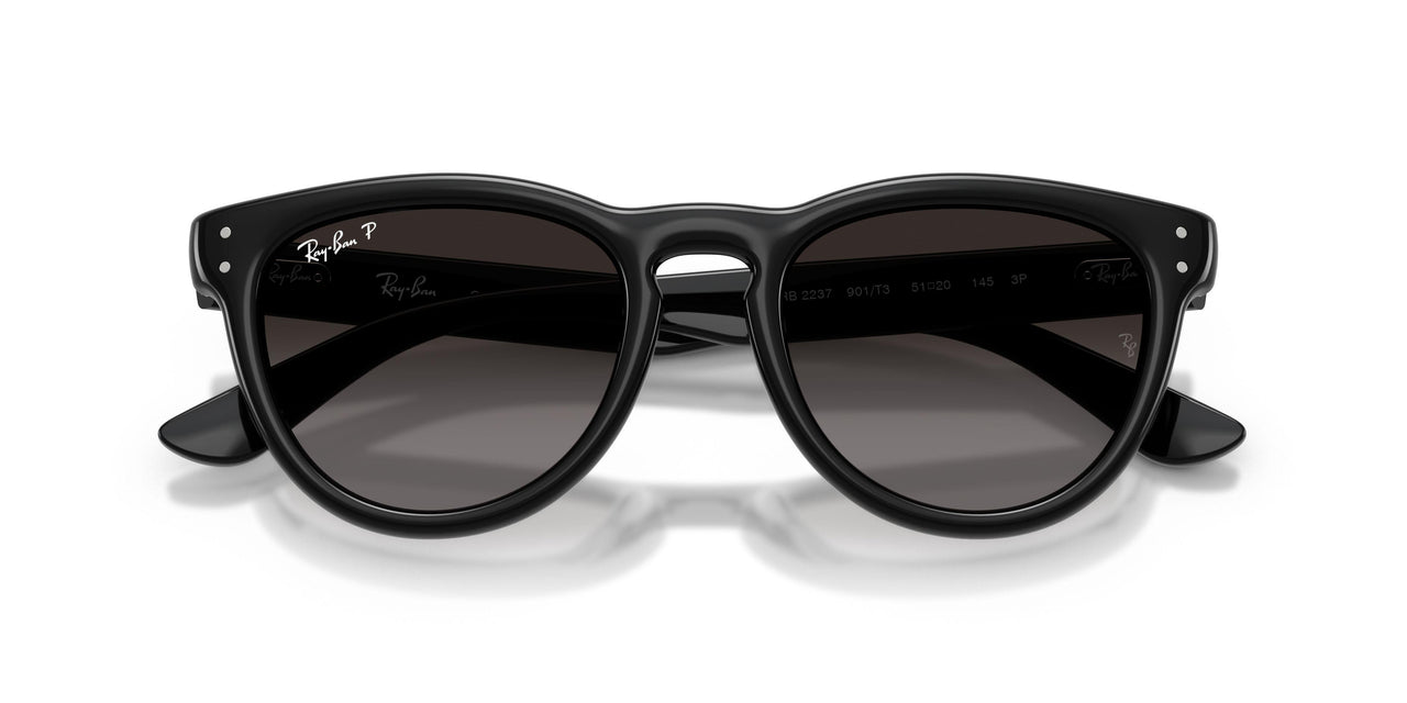 901/T3 - Black - Polarized Light Grey Gradient Grey
