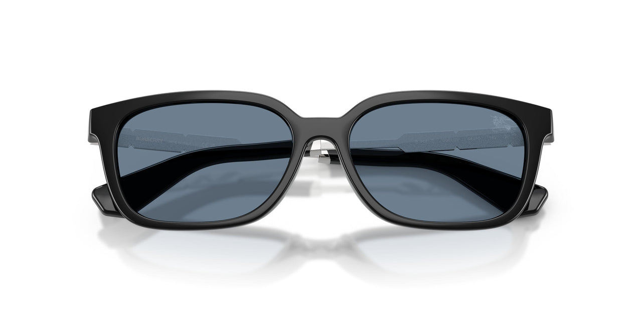 30012V - Black - Dark Blue Polar