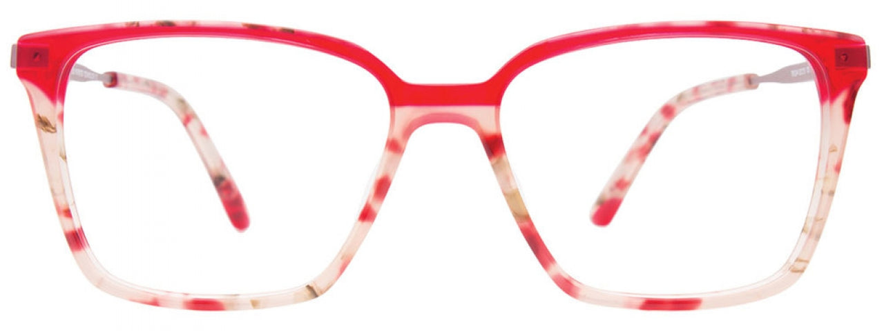 30 - Red Tortoise & Red / Rose
