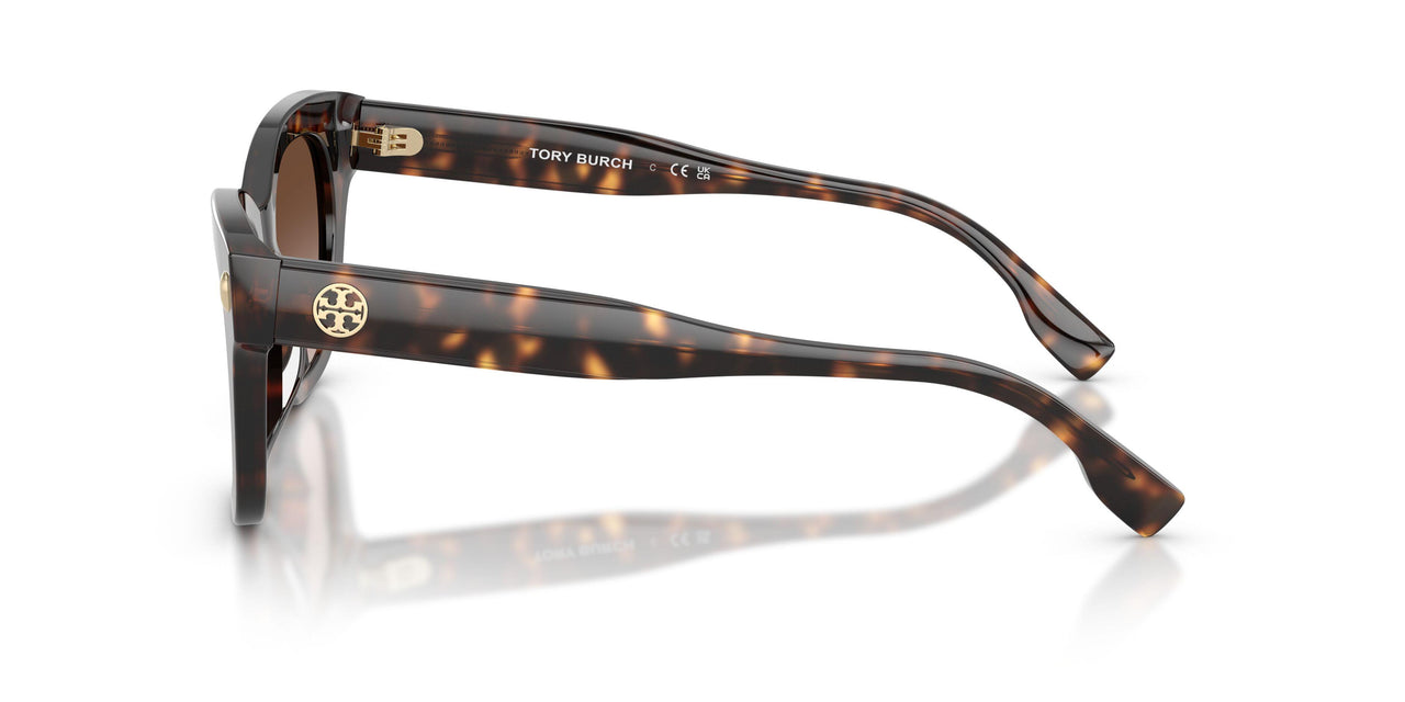 196413 - Tortoise - Brown Gradient