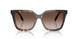 201613 - Tortoise - Brown Gradient