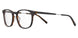 0HGC-00 - BROWN HAVANA
