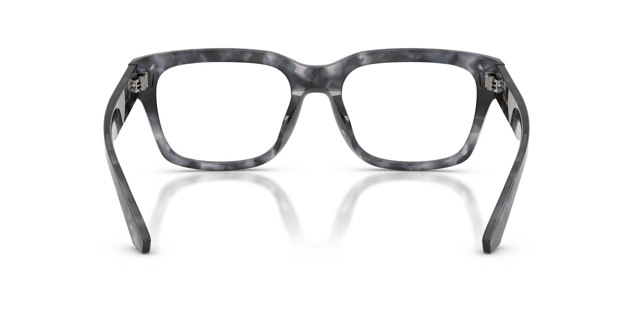 3445 - Tortoise