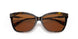 512073 - Havana - Brown