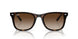 710/13 - Tortoise - Brown