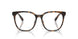 5120 - Tortoise