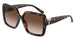 80153B - Tortoise - Brown Gradient