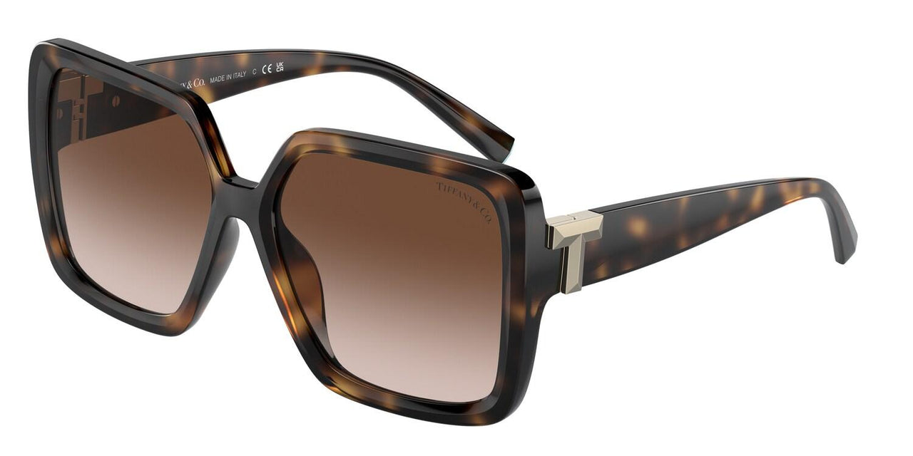 80153B - Tortoise - Brown Gradient