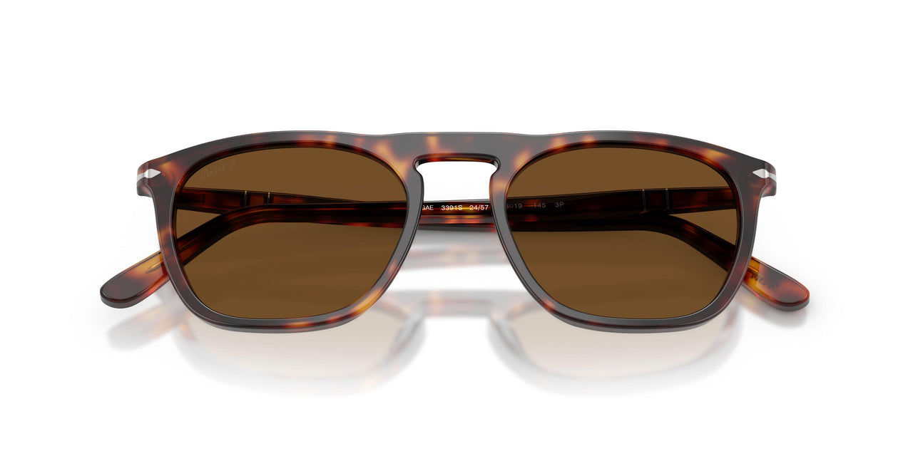 24/57 - Tortoise - Polar Brown