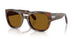 108/33 - Tortoise - Brown