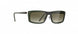 5530 - FOREST GREEN - Olive Green Gradient