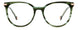 06AK-00 - GREEN HRN
