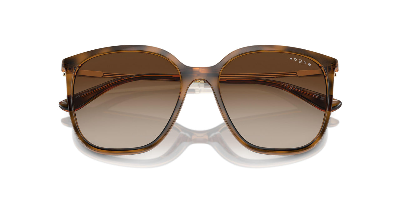 238613 - Brown - Gradient Brown