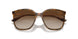 238613 - Brown - Gradient Brown