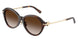 80153B - Tortoise - Brown Gradient