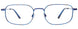 50 - Blue / Blue Tortoise