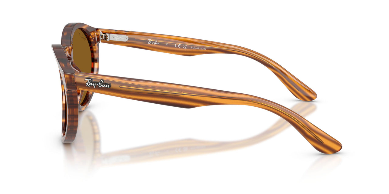 679183 - Brown - Dark Brown Polarized