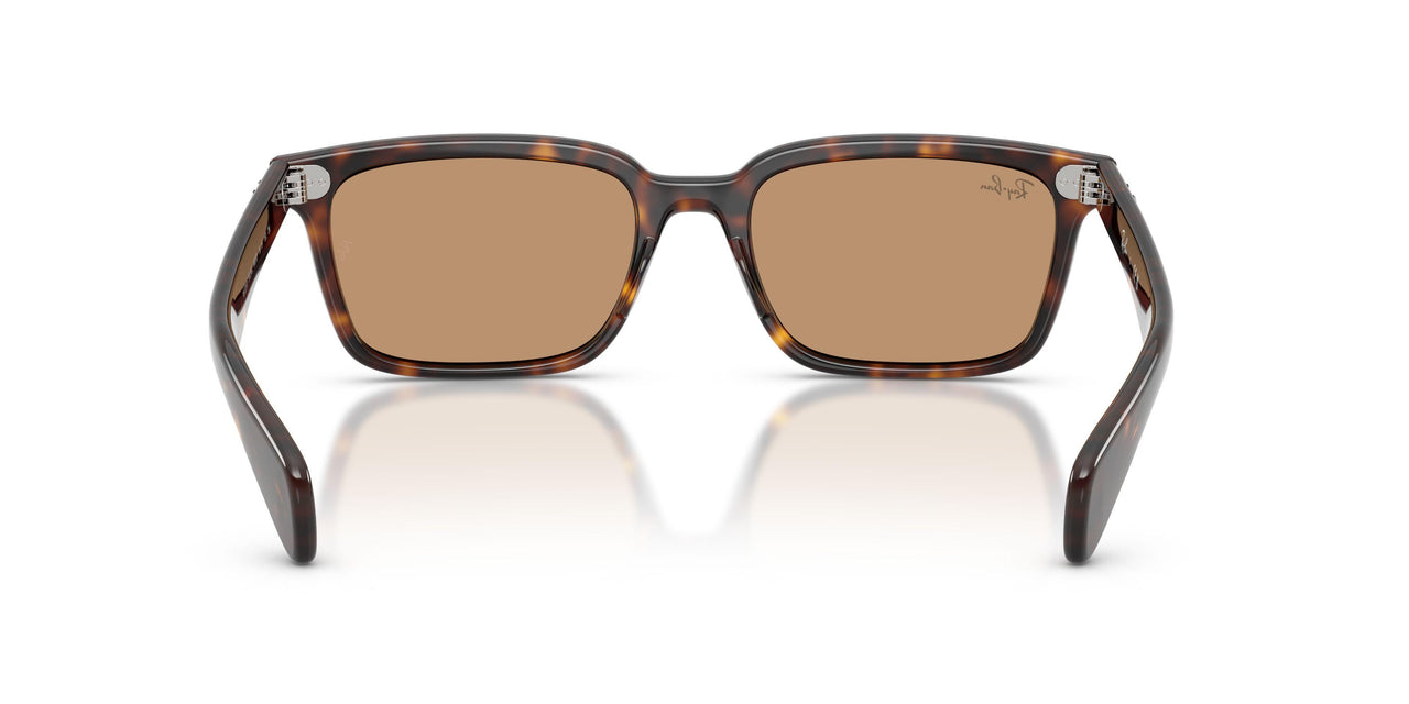 902/53 - Tortoise - Brown