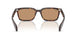 902/53 - Tortoise - Brown