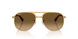 001/M2 - Gold - Polarized Brown Gradient