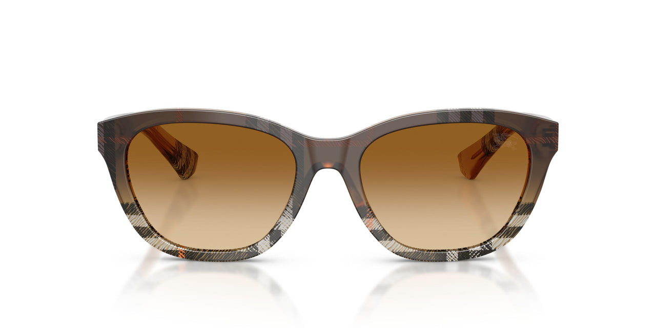 420213 - Brown - Brown Gradient