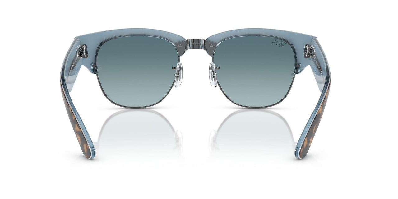 13163M - Tortoise - Blue