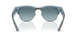 13163M - Tortoise - Blue