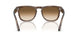 120851 - Tortoise - Gradient Brown