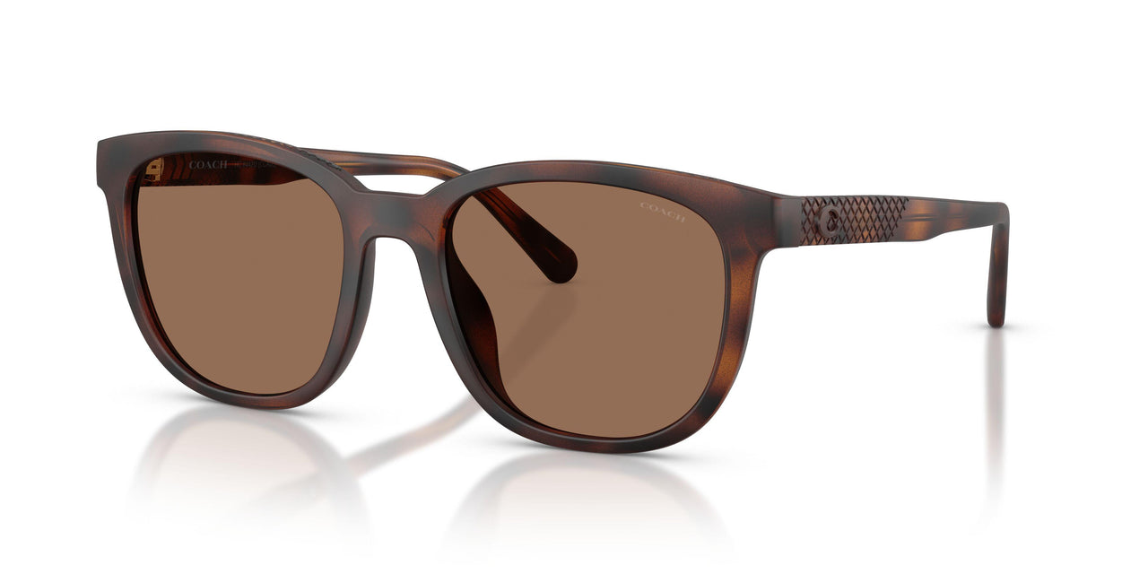 512073 - Tortoise - Brown Solid