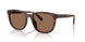 512073 - Tortoise - Brown Solid