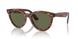 954/58 - Brown - Green
