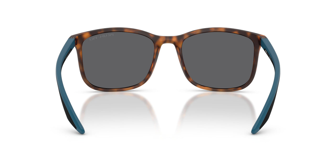 U61144 - Tortoise - Grey Polar
