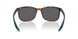 U61144 - Tortoise - Grey Polar