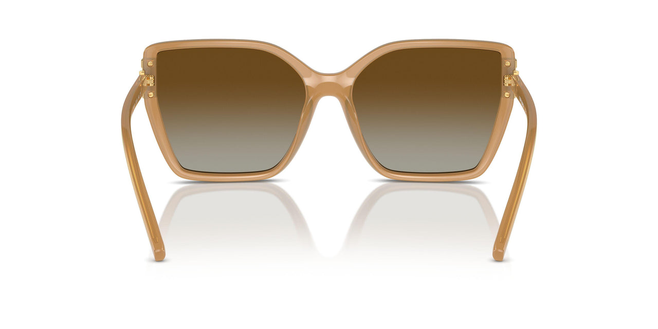 1965T5 - Brown - Brown Polarized