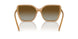 1965T5 - Brown - Brown Polarized