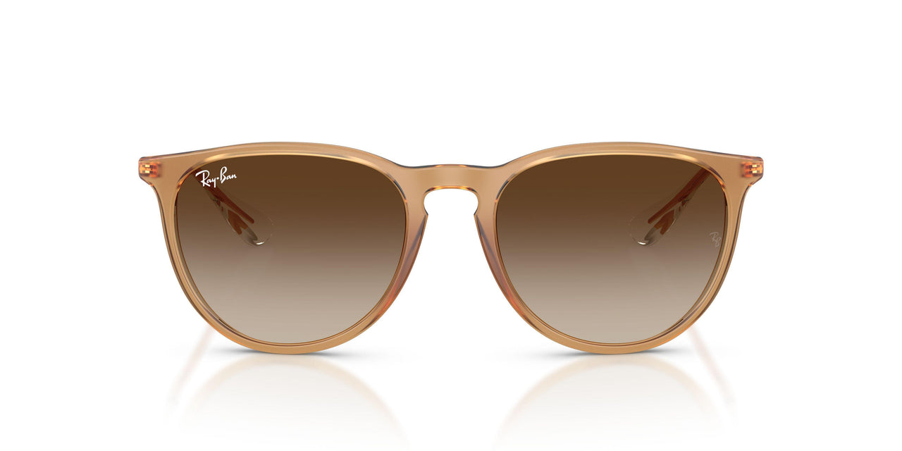 681413 - Brown - Gradient Brown
