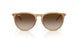 681413 - Brown - Gradient Brown