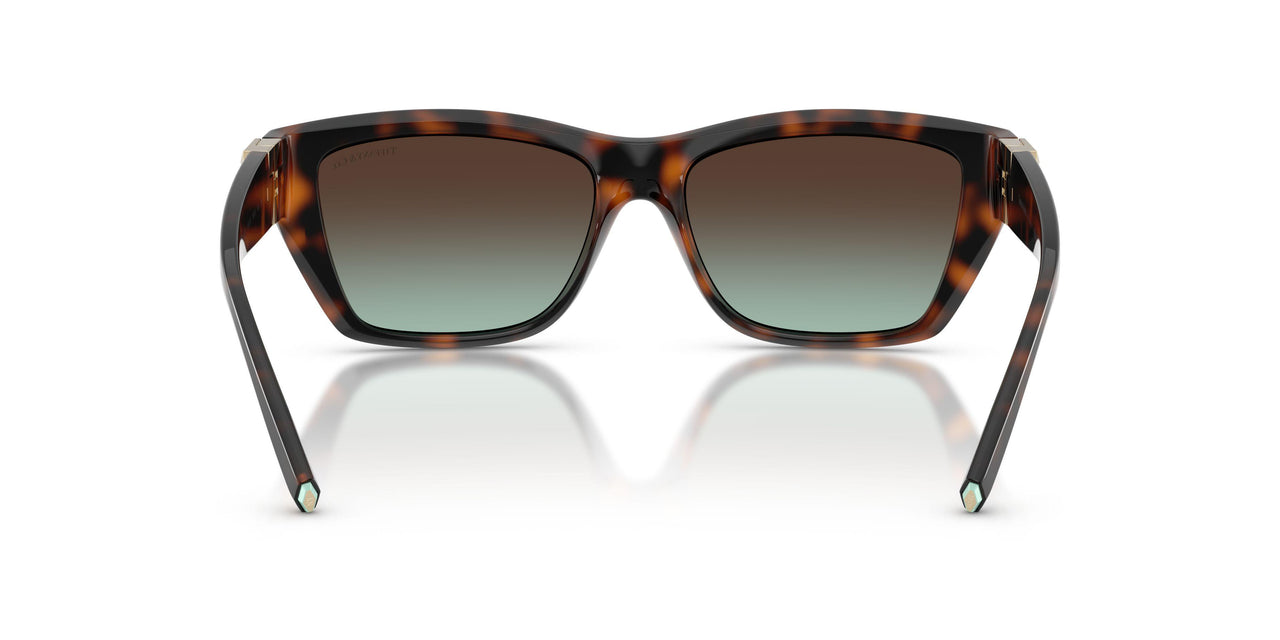 80155D - Tortoise - Azure Gradient Brown